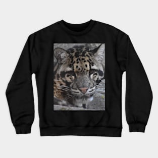 Clouded Leopard Crewneck Sweatshirt